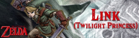 Banner Link Twilight Princess - The Legend of Zelda Collection