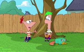 Kijk Ferb, dit moeten we gan doen, oh ja en dit ook, en hè waar is Perry?