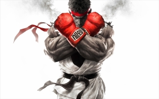 Ryu komt uit de Street Fighter-serie, een legendarische vechtgameserie.